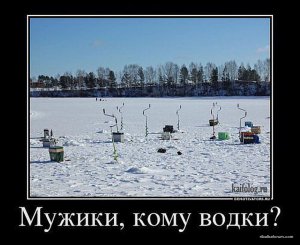 2704445.jpg