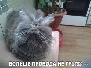 Z8TzzpX3B80.jpg