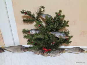 IMG_6582.JPG