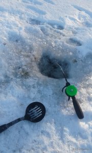 20160103_112610[1].jpg