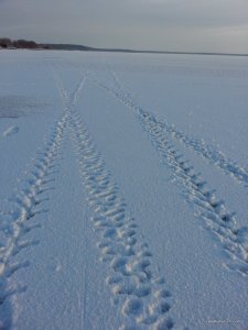 20160105_145218.jpg