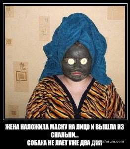 6hBTySl1KTM.jpg