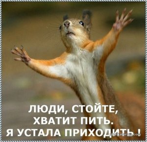 image (2).jpg