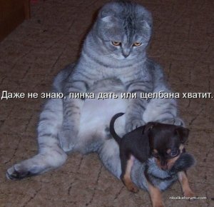 XyToEJxF-aY.jpg
