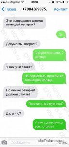 PcvhRDktSHg.jpg