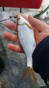 20160109_123327.jpg