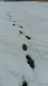 20160109_154651.jpg