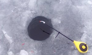 IMG-20160108-WA0004.jpeg