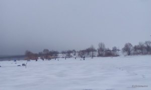 IMG-20160108-WA0002.jpeg