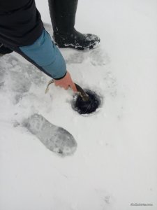 20160109_134907.jpg
