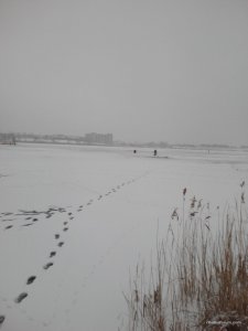 20160110130728.jpg
