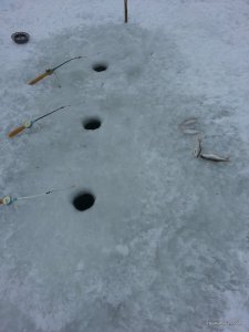 20160111_092408.jpg