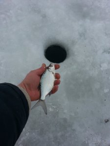 20160111_093219.jpg