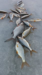 20160113_135351.jpg