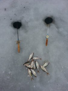 20160114_083201.jpg