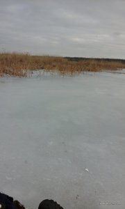 20160113_100456.jpg