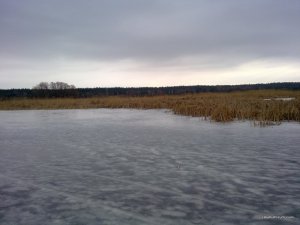 140120161031.jpg