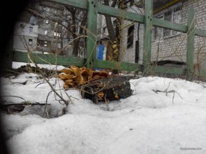 IMG_20160115_110416.jpg