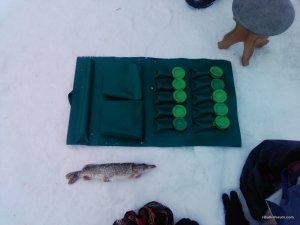 IMG_20160117_135000284.jpg