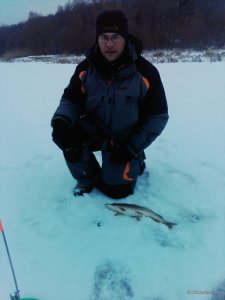 IMG_20160117_122907244.jpg