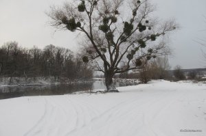 IMG_3949.JPG