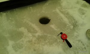 20160117_083038.jpg
