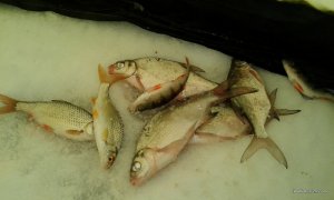 20160117_092026.jpg