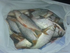 20160117_143639.jpg