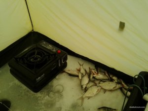 20160117_104405.jpg