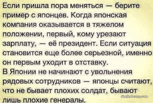 g8zTuggwTj0.jpg