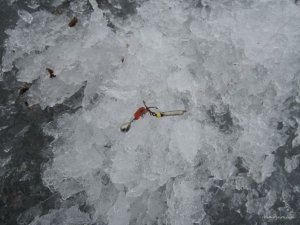 Хотомля, бугор  2016 .01.17_07.JPG