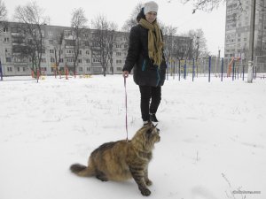 IMG_20160108_140045.jpg