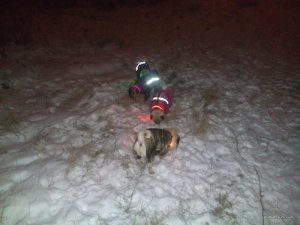 DSC_0164[1].jpg