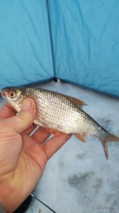 20160117_140527.jpg