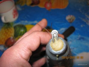 IMG_2924.JPG