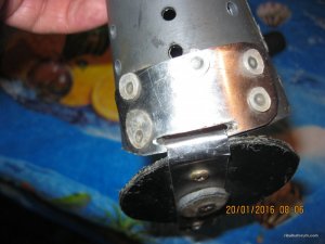 IMG_2922.JPG