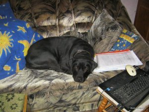 IMG_1088.JPG