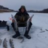 Ромчик"КАРАСЬ"