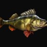 Megabass2222