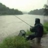 Rainfish