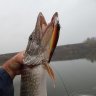 Ruslan Fish Hunter UA
