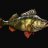 Megabass2222