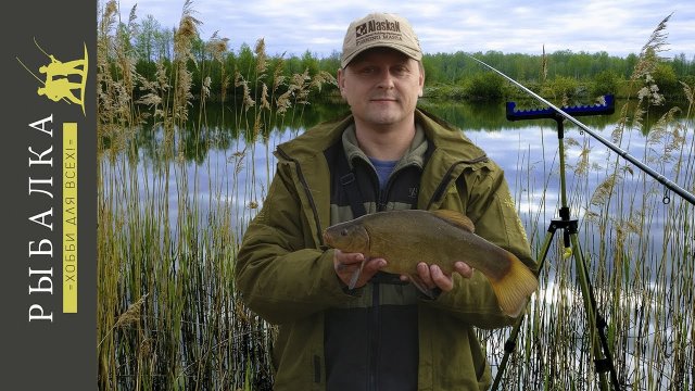 Мой самый крупный линь на поплавок