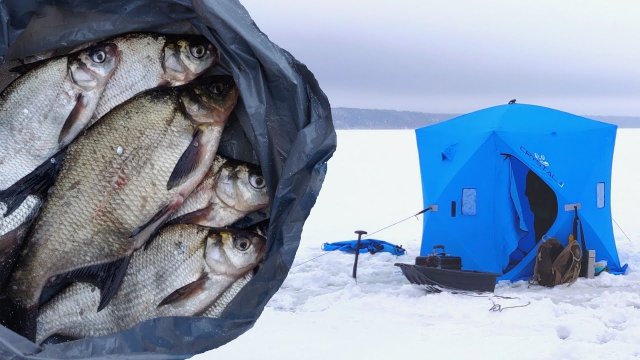 Зимняя палатка. Секретная прикормка на леща. Гриль на льду