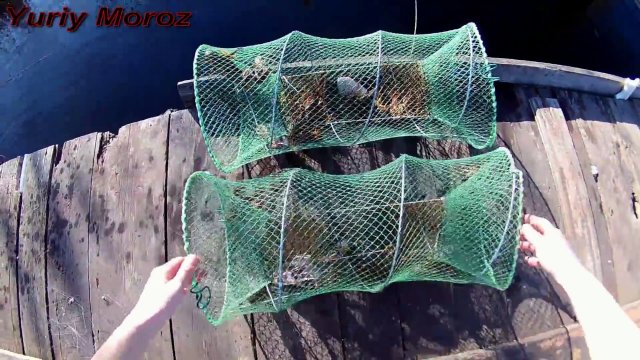 Ловля раков в марте | catching crayfish