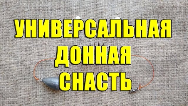 Как выбрать лучшую донную снасть для ловли карпа