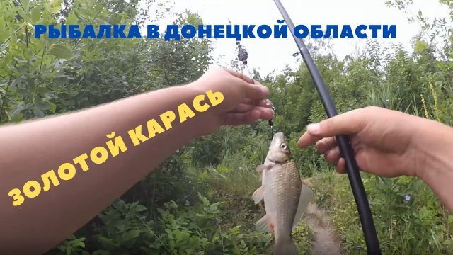 На что ловить КАРАСЯ ? Рыбалка в Донецкой области. Как поймать золотого карася? Дождь на рыбалке