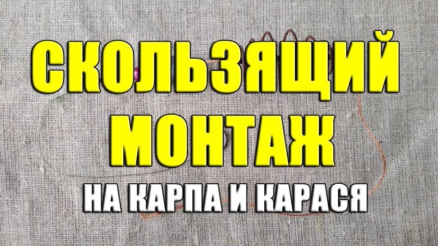 Как выбрать лучшую донную снасть для ловли карпа