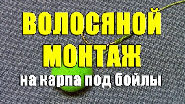 Волосяной монтаж на карпа под бойлы. Волосяная оснастка своими руками