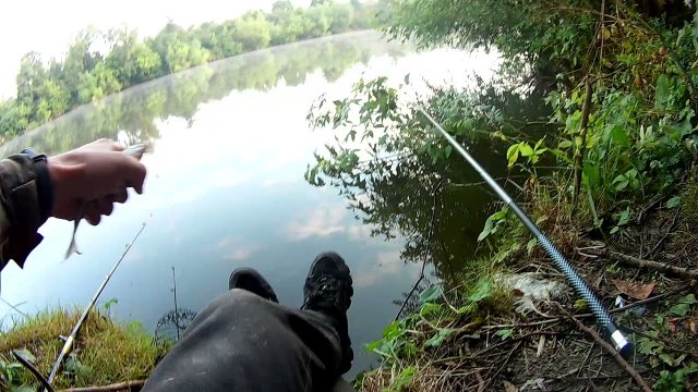 Ловля карася на поплавок. Рибалка на карася.